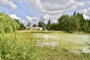 Propriété d Agrément Sologne 3 hectares 819933