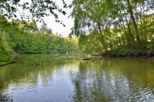 Propriété de Chasse et d’Agrément 54 hectares Sologne de l’Est