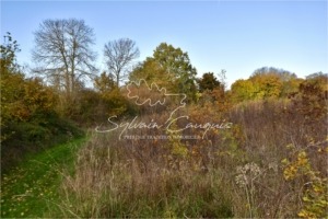 Propriété en Sologne 30 hectares