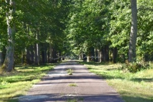 Propriété en Sologne d’exception